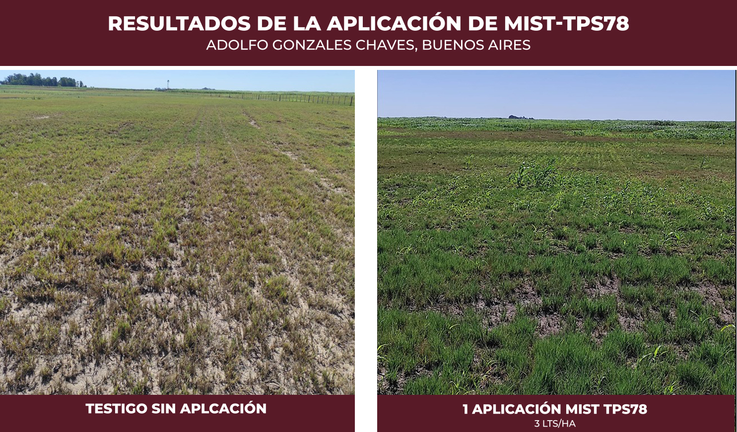 cuadro sorgo TPS78
